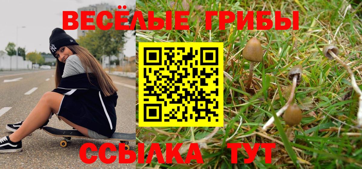 Псилоцибиновые грибы ЛСД Выкса
